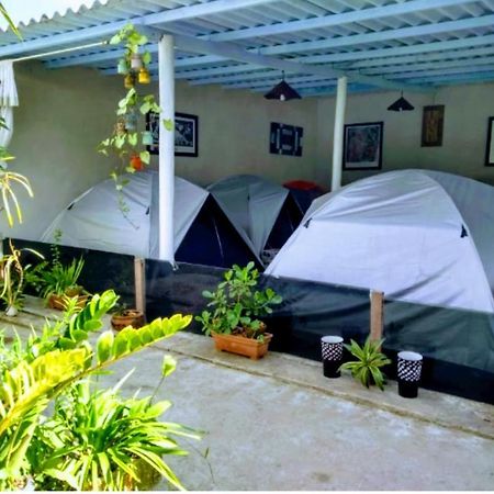 Camping Conforto Ypê Branco Araquari Exterior foto
